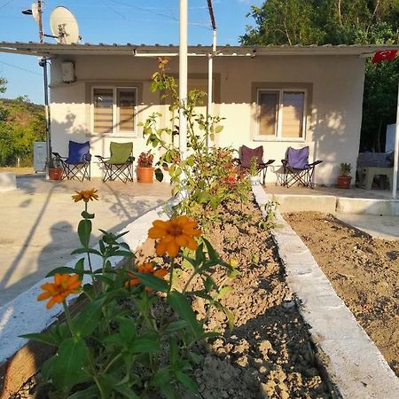Alibaba Villa Near Airport And Beach 달라만 외부 사진