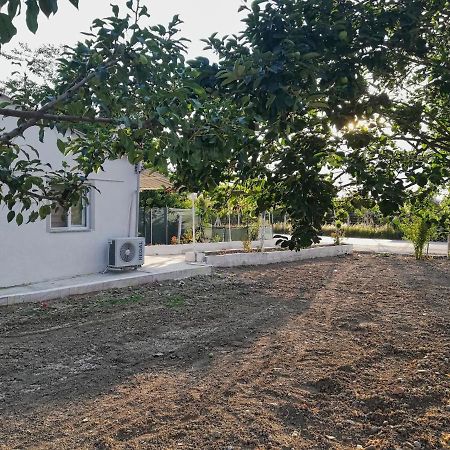 Alibaba Villa Near Airport And Beach 달라만 외부 사진