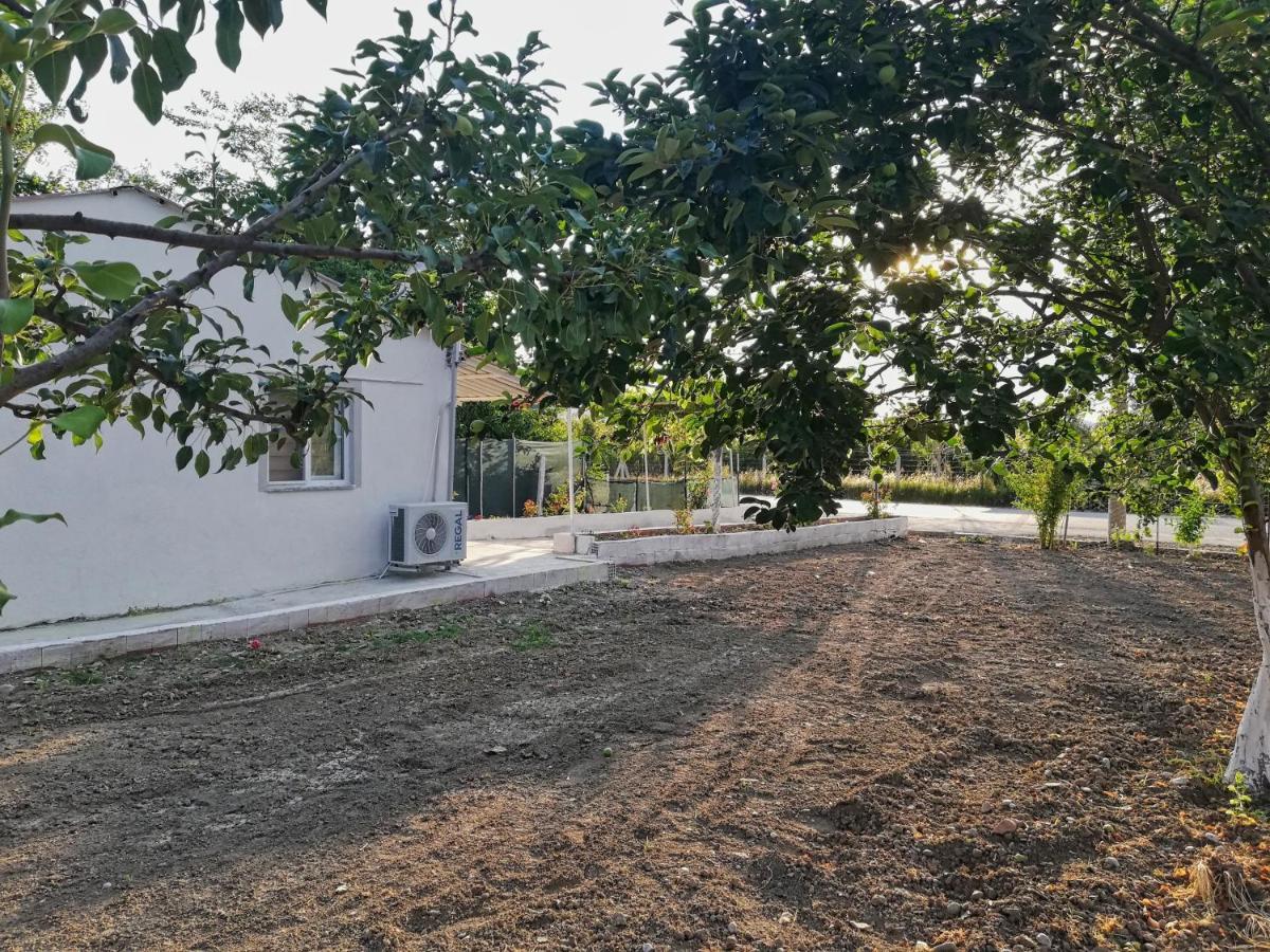 Alibaba Villa Near Airport And Beach 달라만 외부 사진