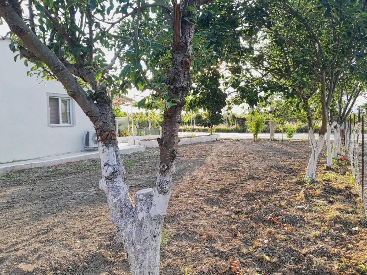 Alibaba Villa Near Airport And Beach 달라만 외부 사진